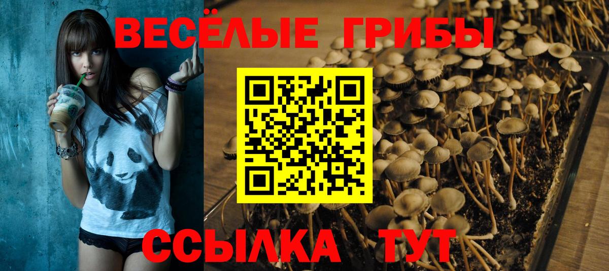 Галлюциногенные грибы ЛСД Ачхой-Мартан