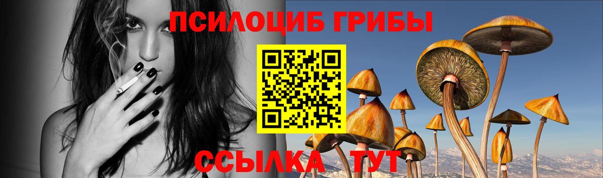 Псилоцибиновые грибы GOLDEN TEACHER  Вход с VPN  купить  сайты  Ачхой-Мартан 