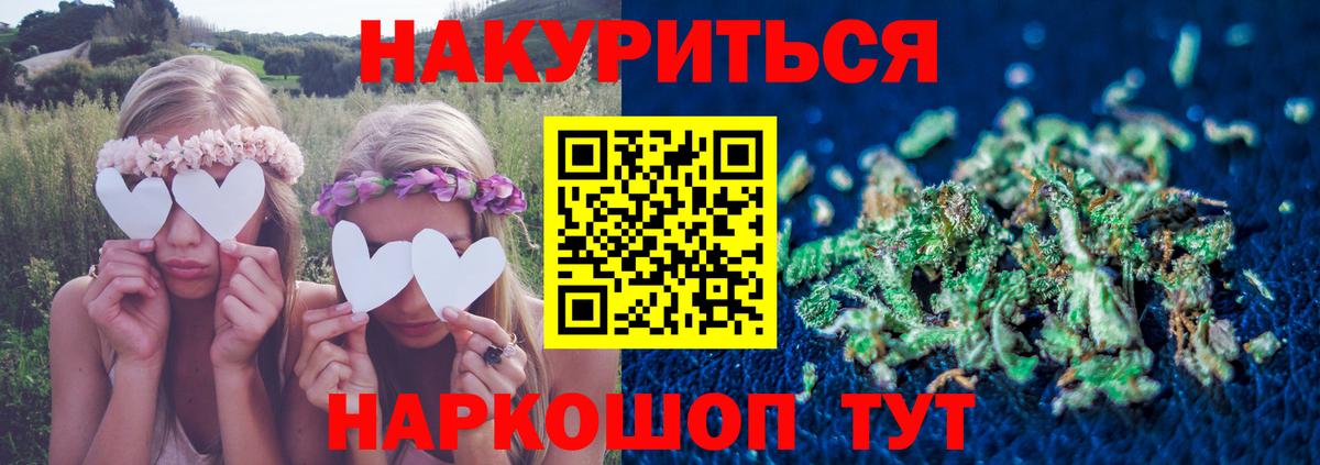 Ачхой-Мартан  МАРИХУАНА Bruce Banner  Вход с VPN  Каннабис конопля  Конопля тримм 