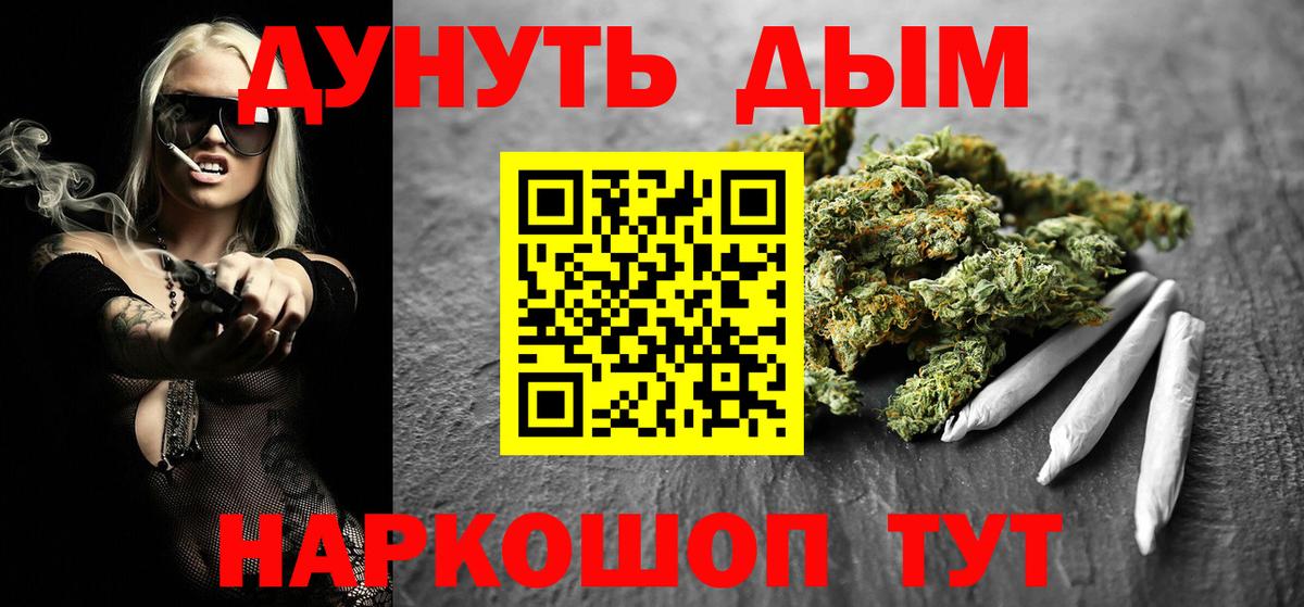 Каннабис гибрид Ачхой-Мартан